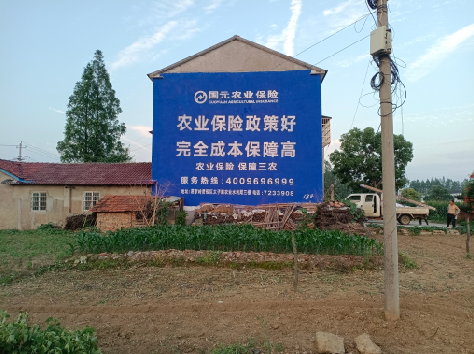 石台墙体广告的优劣势你知道吗？